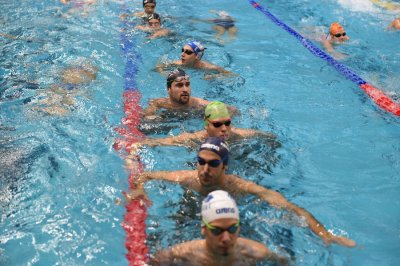 Auch Guido, Orsi und Codia