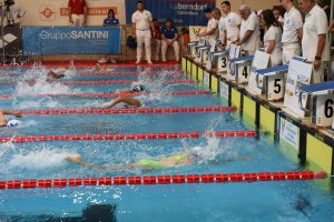 29° swimmeeting - Die ersten Stars haben zugesagt